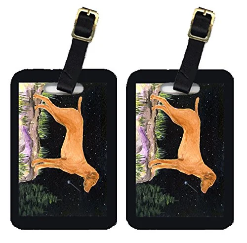 Caroline's Treasures SS8478BT Starry Night Vizsla Luggage Tags Pair of 2, Large, multicolor