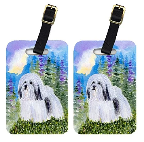 Carolines Treasures Ss1034Bt Havanese Luggage Tag - Pair 2, 4 X 2.75 In.